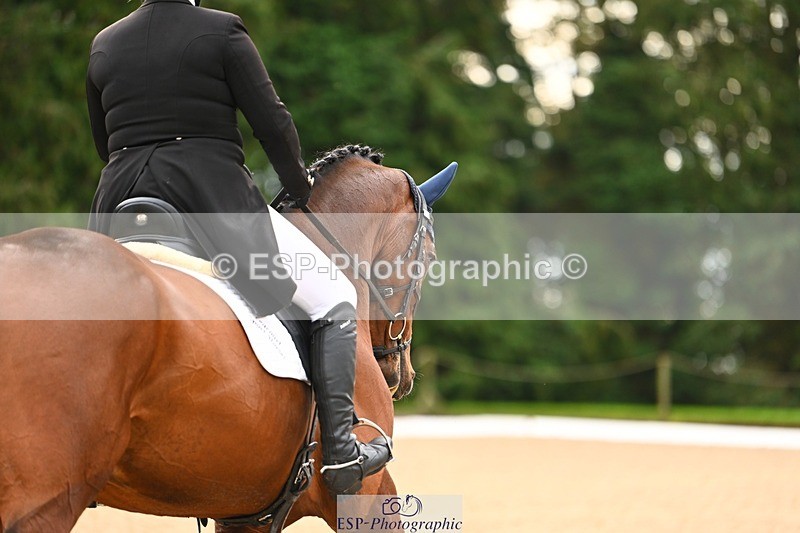 231021-100203-12656 - 229-HARTHILL.SAMBA-Charlotte.Rowe-DR