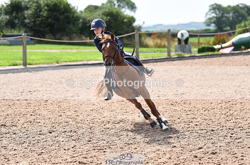 230716A-100558-01960 - Cls 35 Springboard 128cm & 138cm