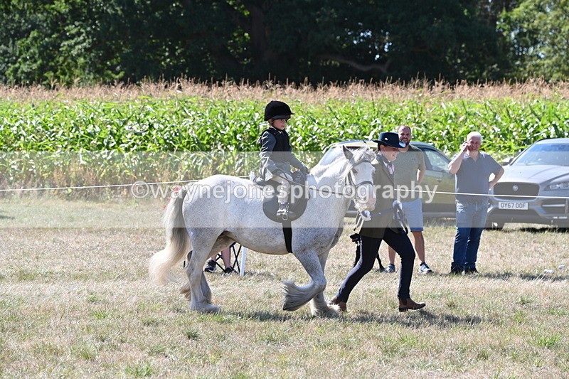 WJ6_7914 - Class 36 Lead Rein