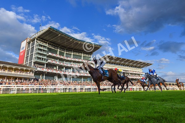260724-Race 5-Verbier-1120 - Race 5 7.50pm British EBF Lyric Fillies' Stakes