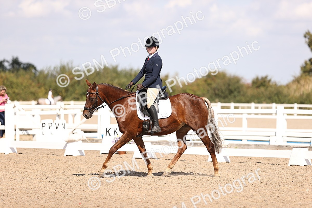 SBM_03572 - CLass 35 Intro 3