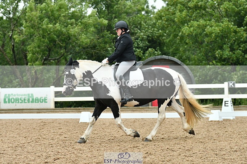 230708A-121130-01295 - Novice 23