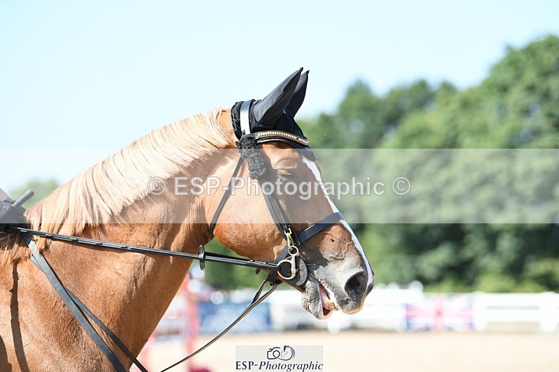 250725-101436-01341 - Cls 6 Snr British Novice and 90cm