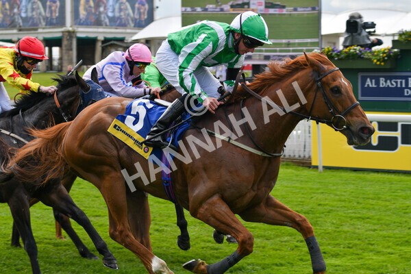 yr12052021r2-38 - Race 2 2.10pm Churchill Tyres Stakes