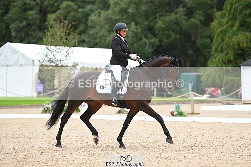 230813-175220-08762 - Cls 14 Medium Silver 16.45 to End