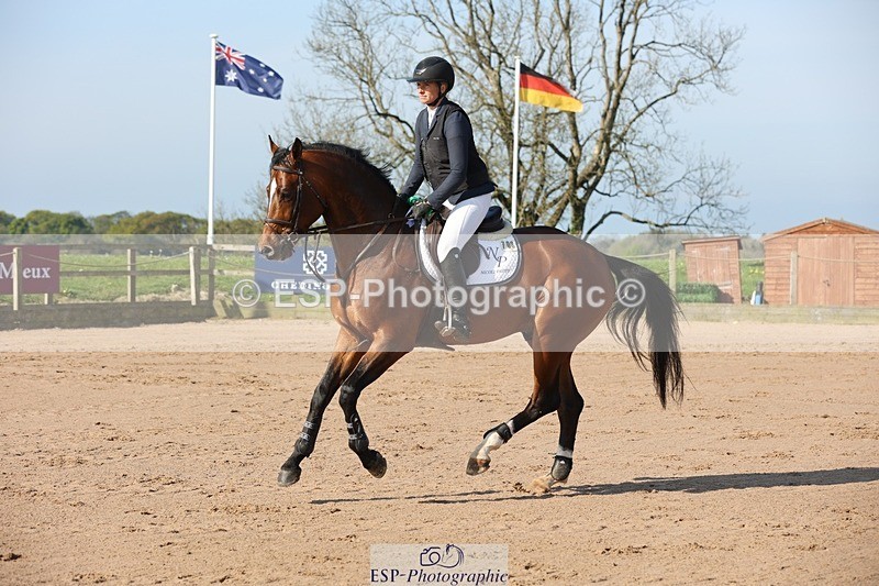 250427-090824-14761 - Cls 28 Young Horse 5yr old