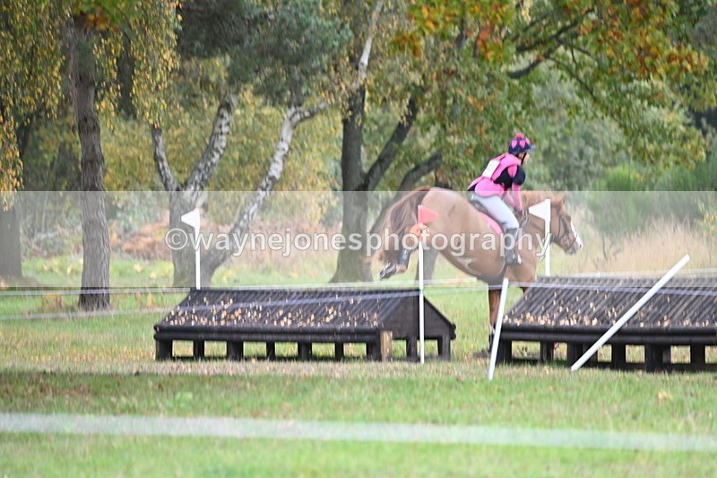 WJ6_4042 - 90cm Cam 1 Time 14:05 to 14:35