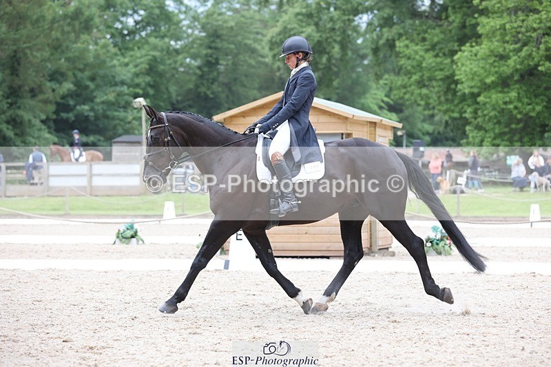 240524-181117-11428 - 290-MISTER_KAI-Hani_Milstein