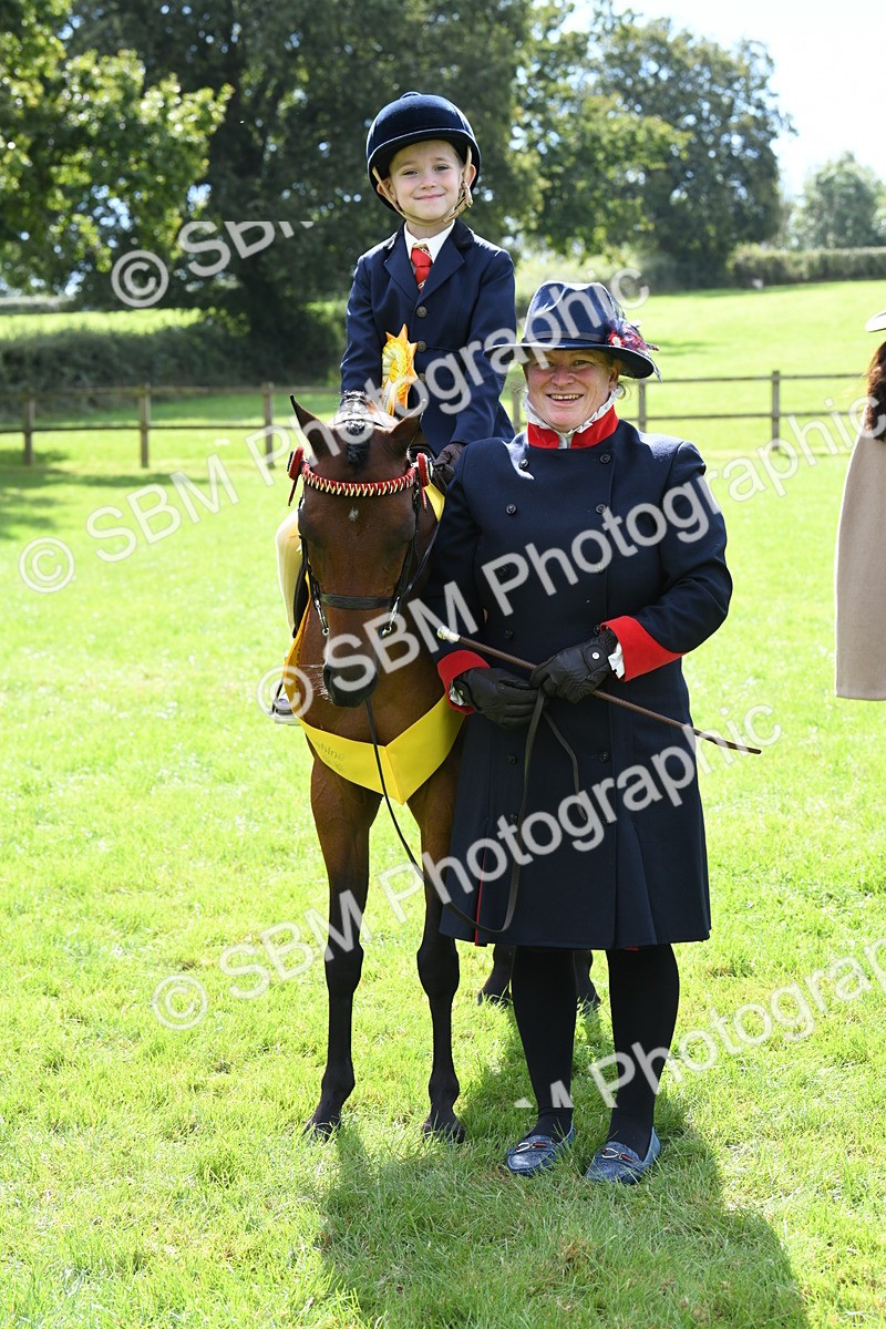 SBM_41253 - S19 - Lead Rein Show & Show Hunter Pony