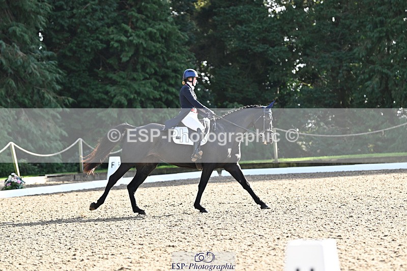 241023-143915-00570 - 002-Ellie.Fredericks-BRITANNIA'S.OLIVE