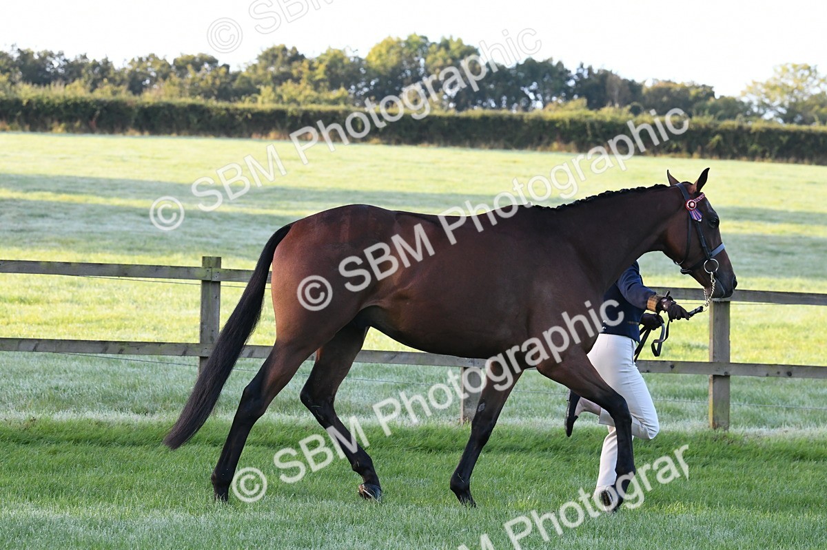 SBM_32574 - S15 - Condition & Turnout In Hand