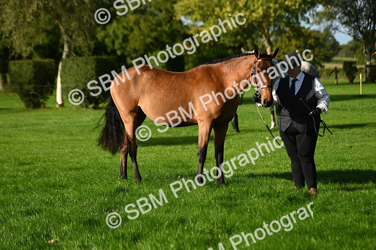 SBM_14777 - S1 - TSR in Hand Horse & Pony Showing