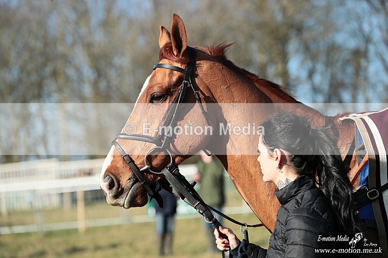 PtP 240126 5 - Cambridgeshire & Enfield Chase PtP Horseheath 24/01/26