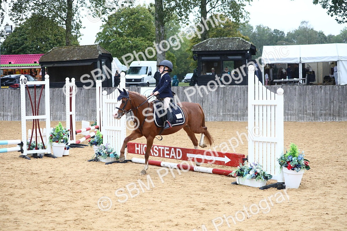 SBM_71564 - J4 - Mini Tour Junior Pony 45cm Championship
