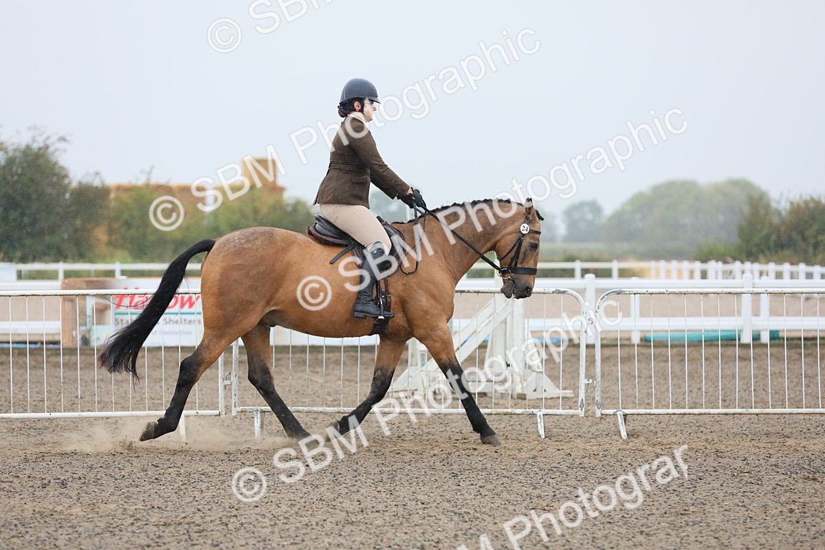 SBM_19861 - Class 801 - Ridden Veteran