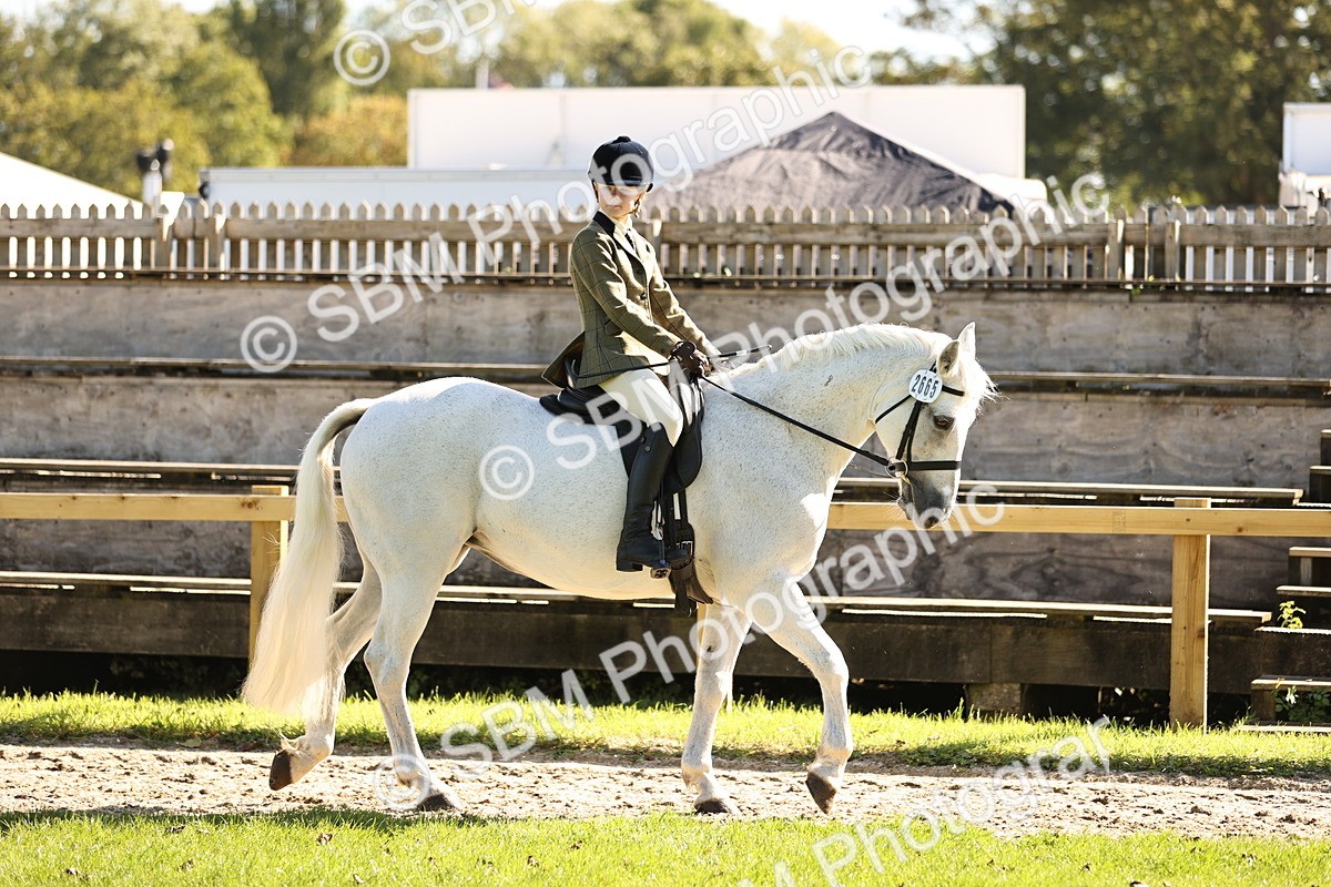 SBM_19067 - S3 - TSR Ridden Pony Showing