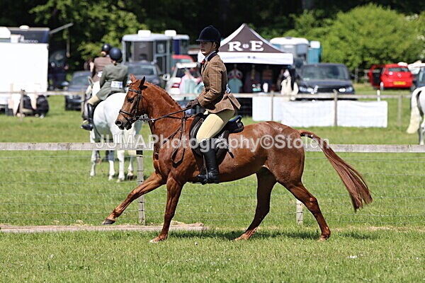 IMG_3782 - Working Hunter