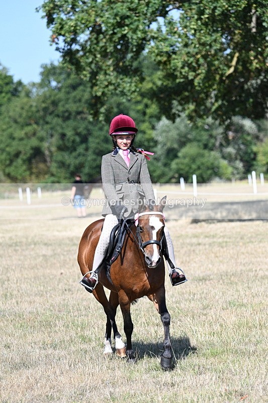 WJ7_4051 - Class 9 Mountain & Moorland Ridden