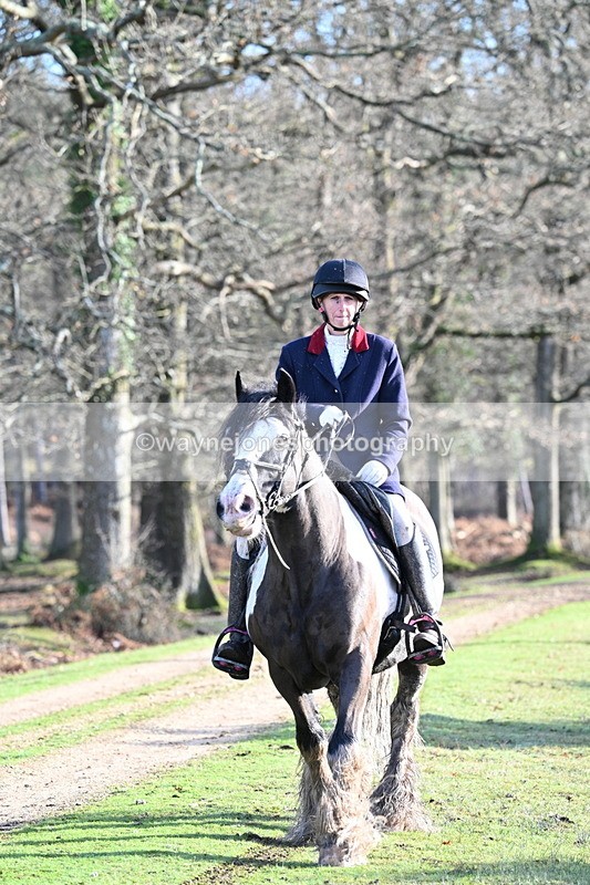 WJ7_7817 - Line 3 (no line 4 or 5)