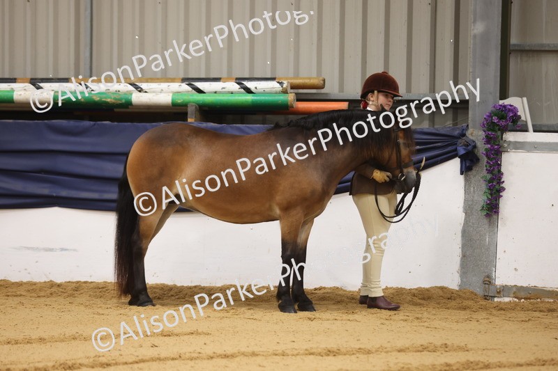 20260913-0019 - Class 121 - Young Handler 5-16