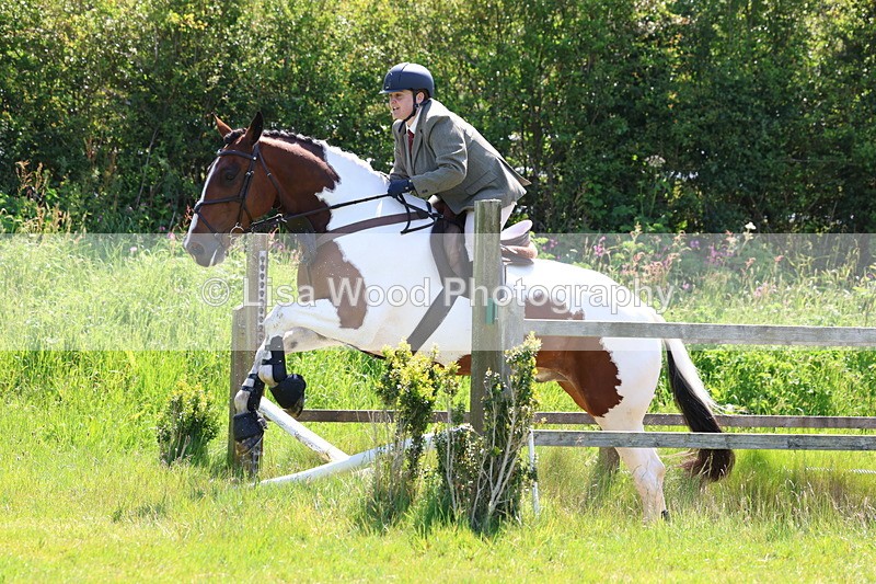 3E7A6880 - Class 30: Novice Working Hunter
