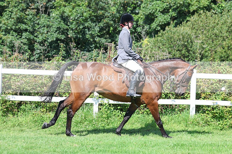 3E7A8361 - Class 4: Novice working Hunter