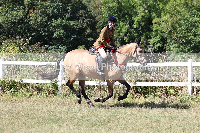 3E7A6489 - Working Hunter Championship