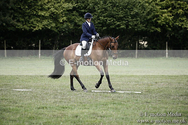 BVR090918 267 - BVRC Dressage and Show Jumping 09/09/18