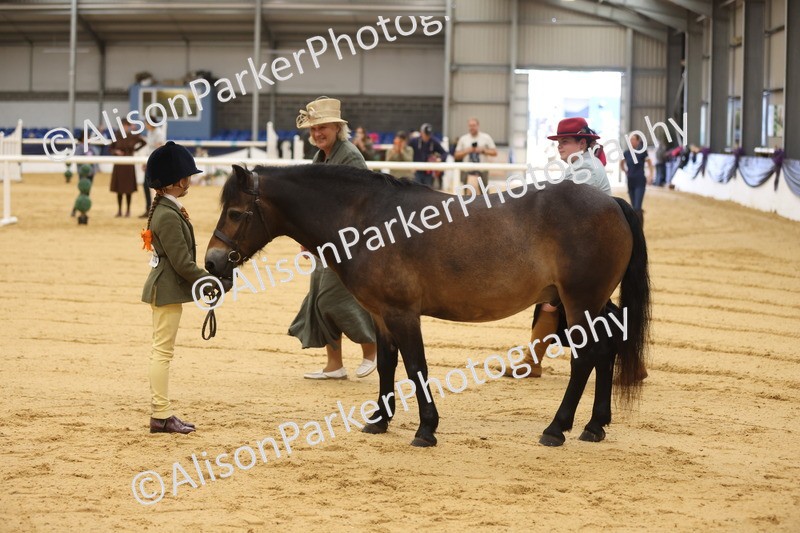20260913-0095 - Class 121 - Young Handler 5-16