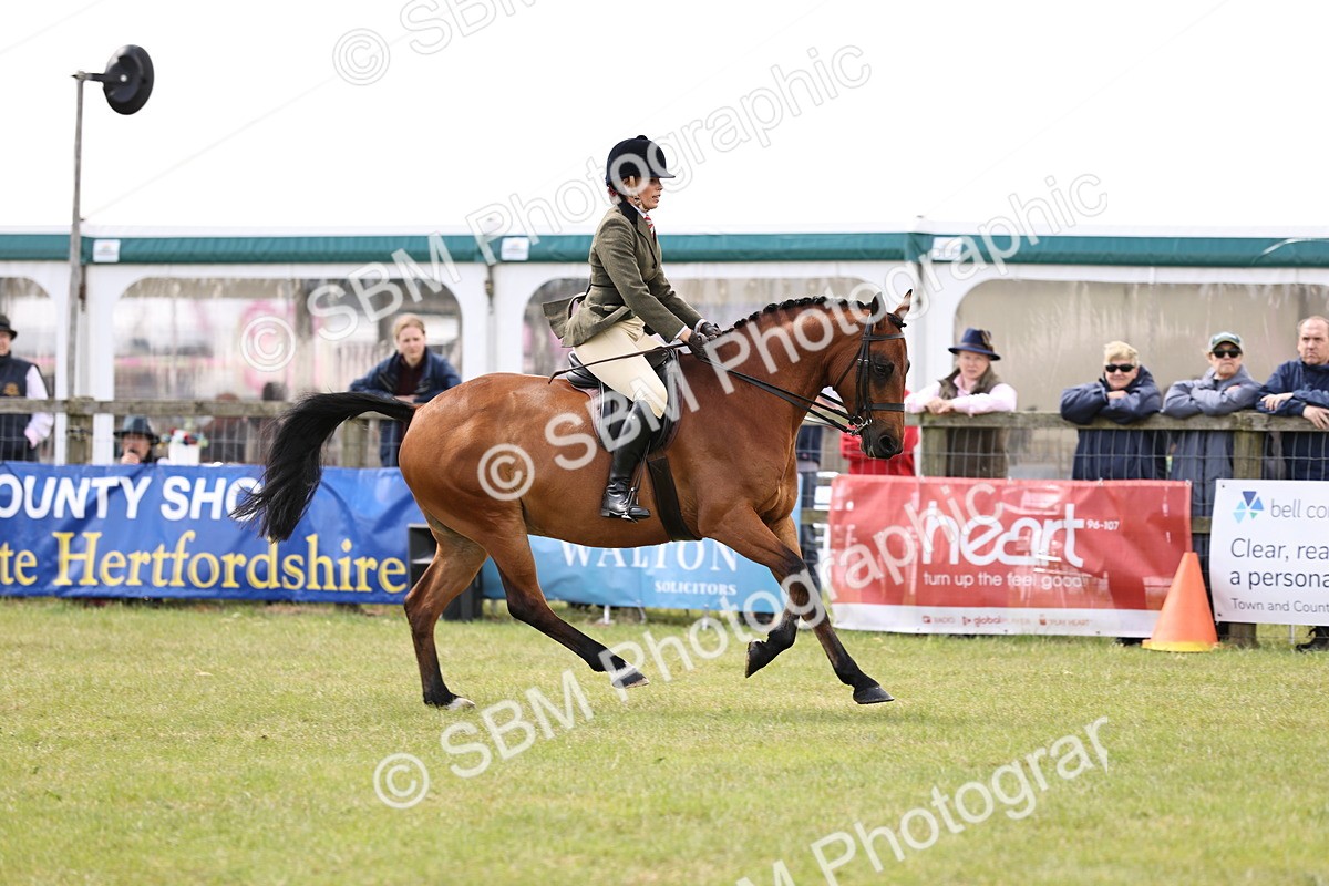 SBM_14566 - Class 88-89 - LIHS BSHA Rising Star of Ridden Hunter Type