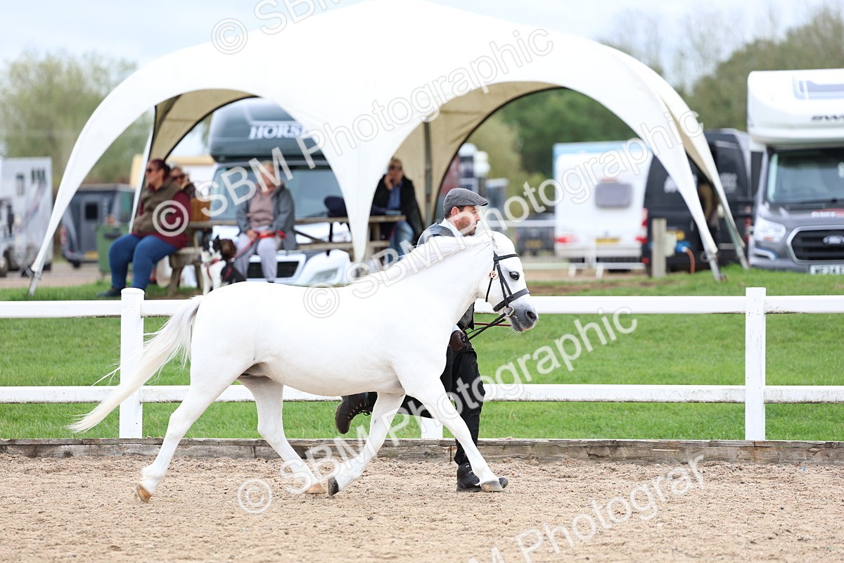SBM_05854 - Class 29 - IH Veteran Pony