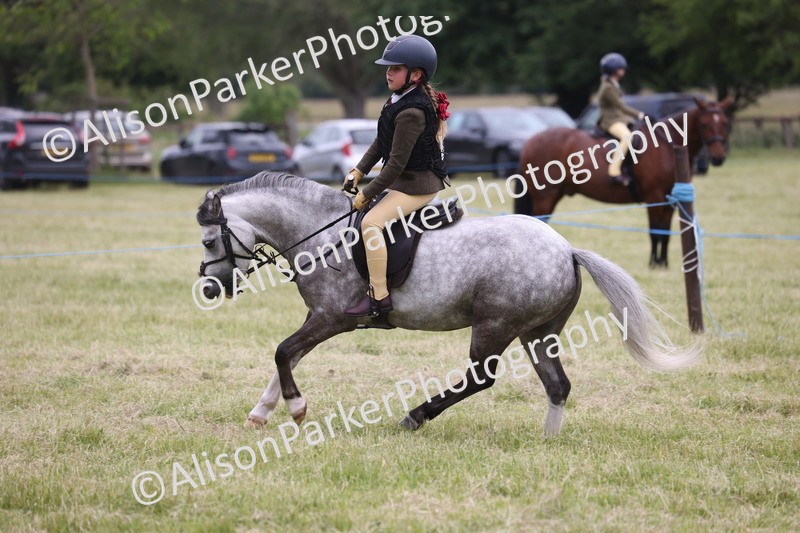 20260614-3141 - Class 22 - Open Working Hunter