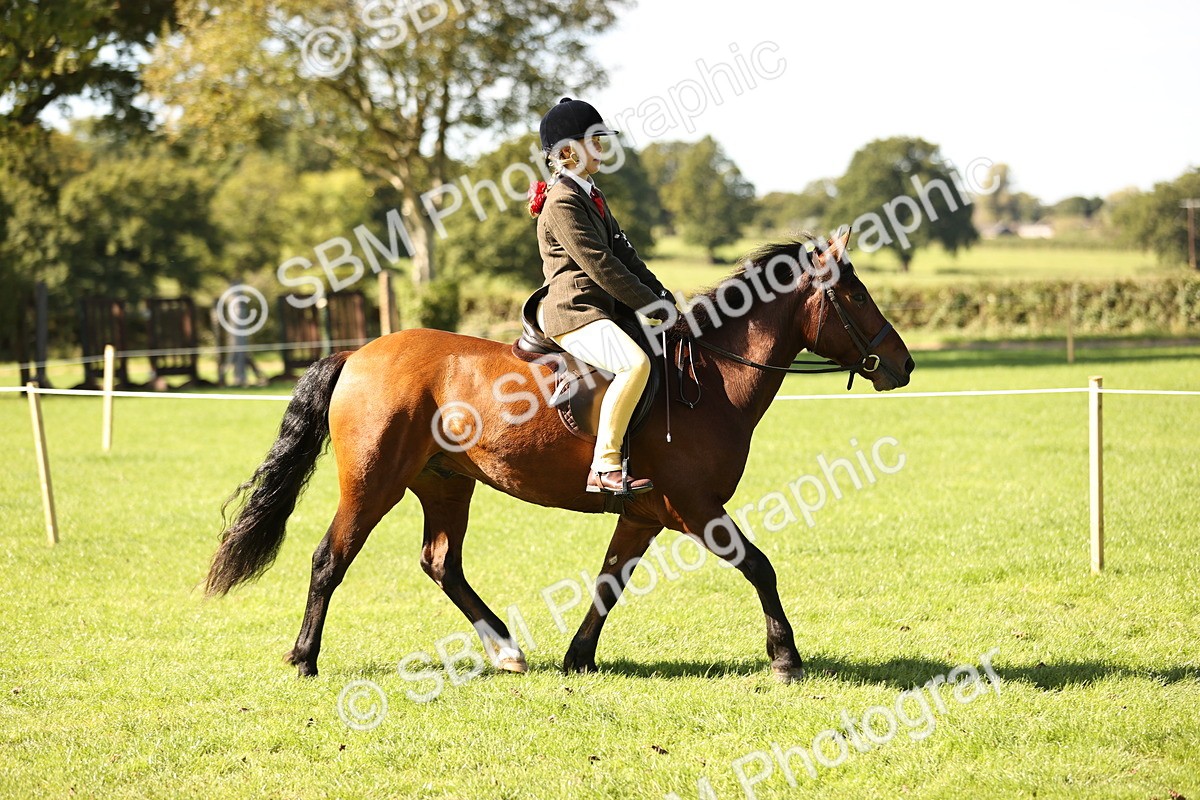 SBM_19112 - S3 - TSR Ridden Pony Showing