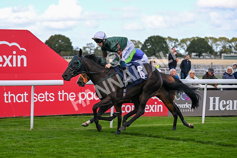 230925-Race 3-Beerwah-0484 - Race 3