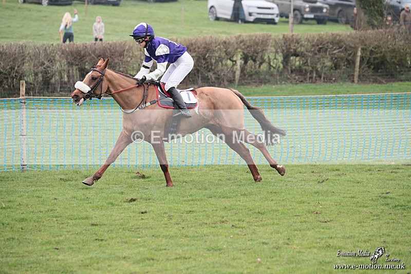 PR PtP 080326 420 - Guilsborough Pony Races 08/03/26
