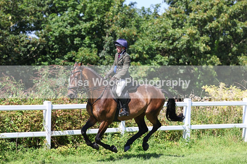 3E7A9213 - Working Hunter Championship