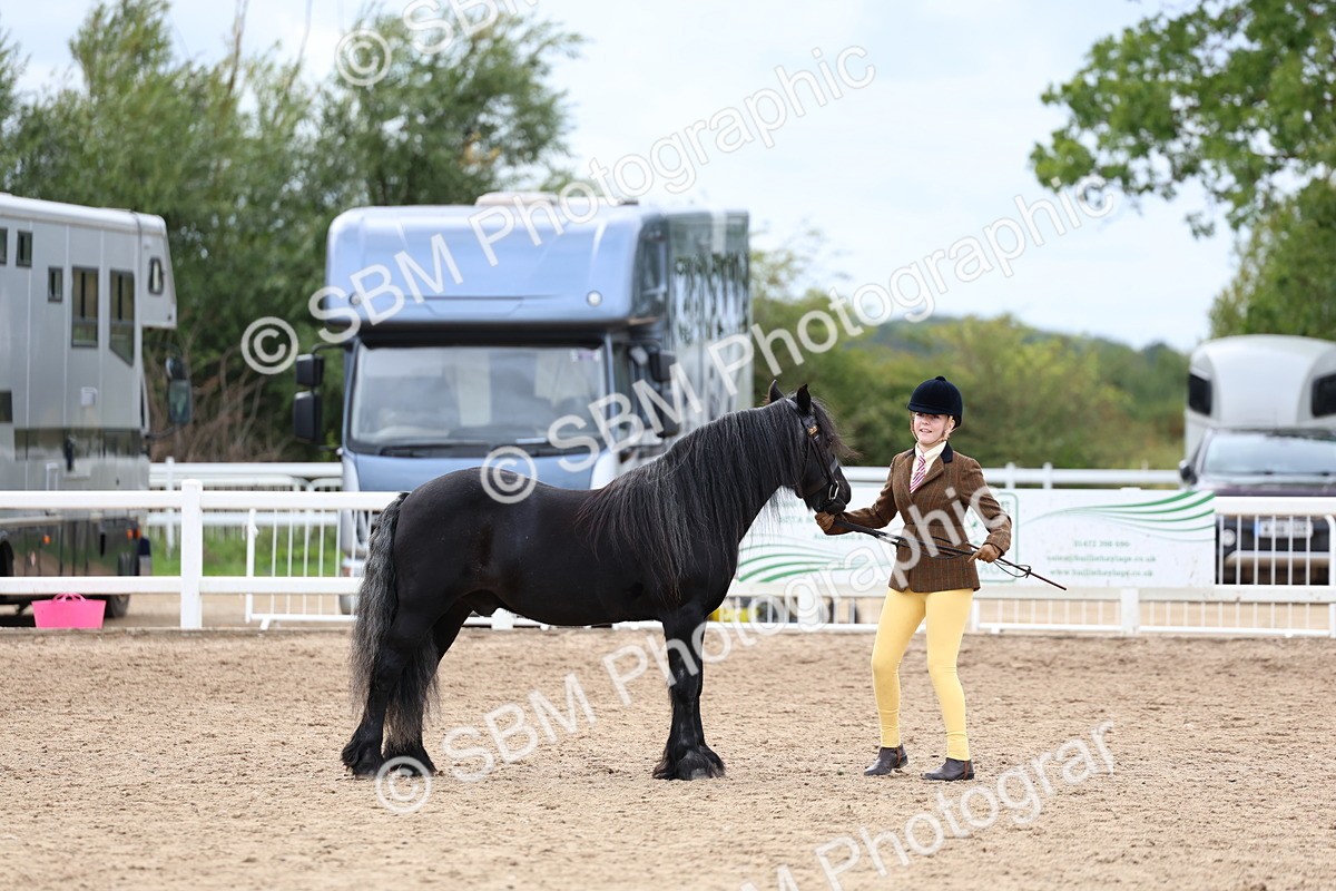 SBM_05867 - Class 29 - IH Veteran Pony