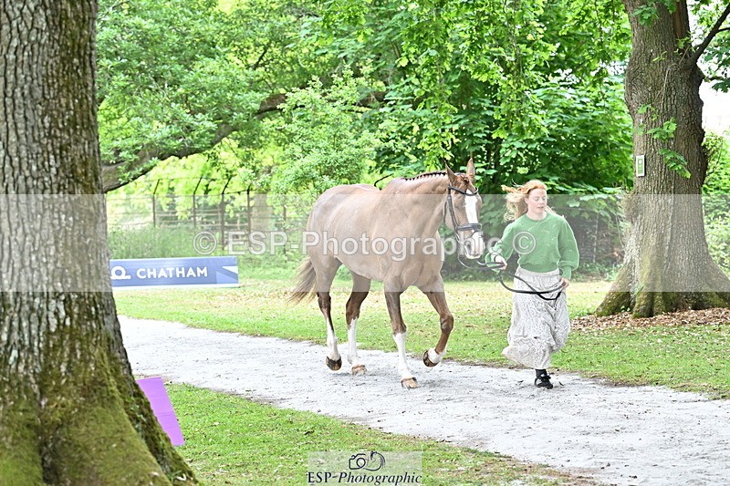 250521A-144356-00196 - A-057-Tabitha.Moore-BILLY.HOODOOS