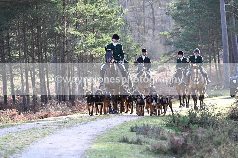 WJ7_7636 - Line 3 (no line 4 or 5)