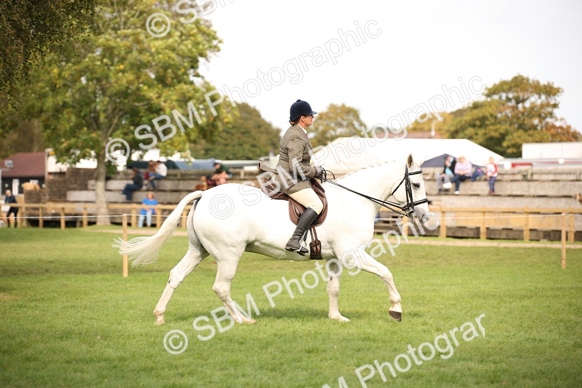 SBM_70419 - S66 - Hunter Ridden