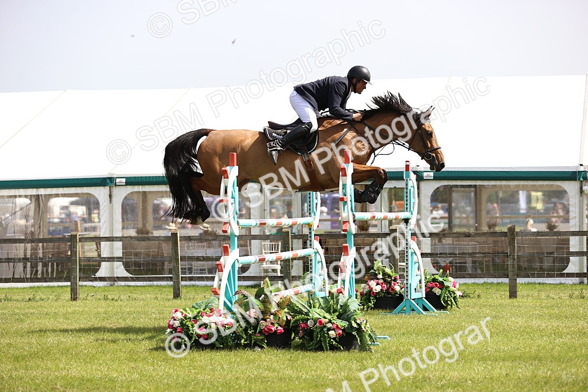 SBM_03208 - Class 201 - British Horse Feedds Speedi Beet HOYS Grade C