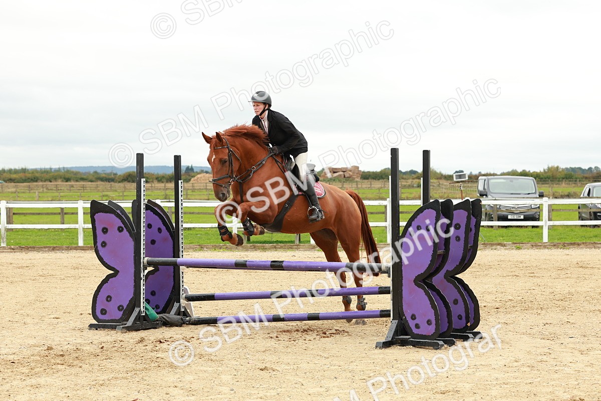 1I0A7119 - Class 2 - Senior British Novice