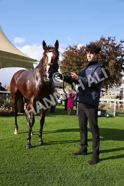 yr07102022r3-62 - Race 3 3.15pm British EBF £100,000 2yo Series Final (Colts and Geldings)