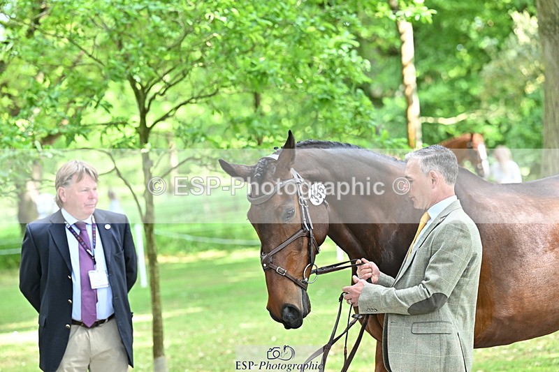 250521A-151523-00377 - B-355-Andrew.James-PRIMITIVE.PROPOSITION