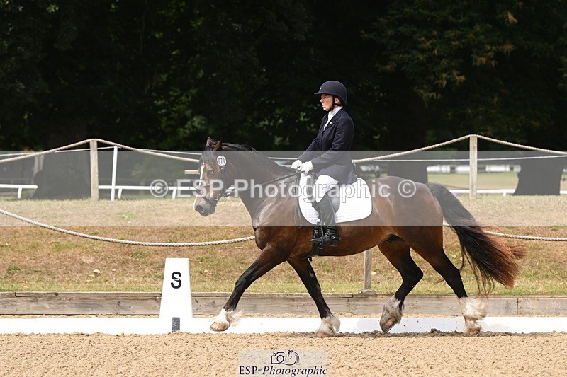 250720A-115653-10085 - 079-Amanda.Williams-Llanarth.Westminster