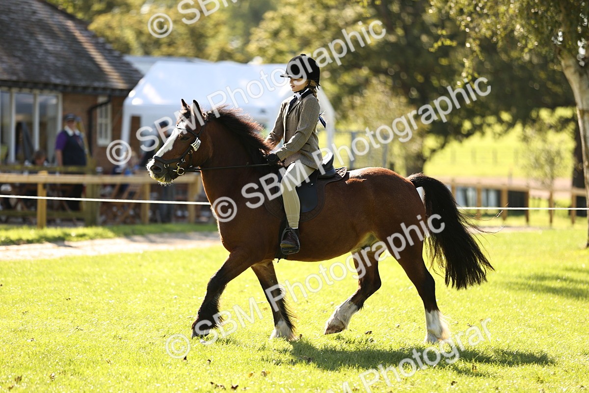 SBM_19097 - S3 - TSR Ridden Pony Showing
