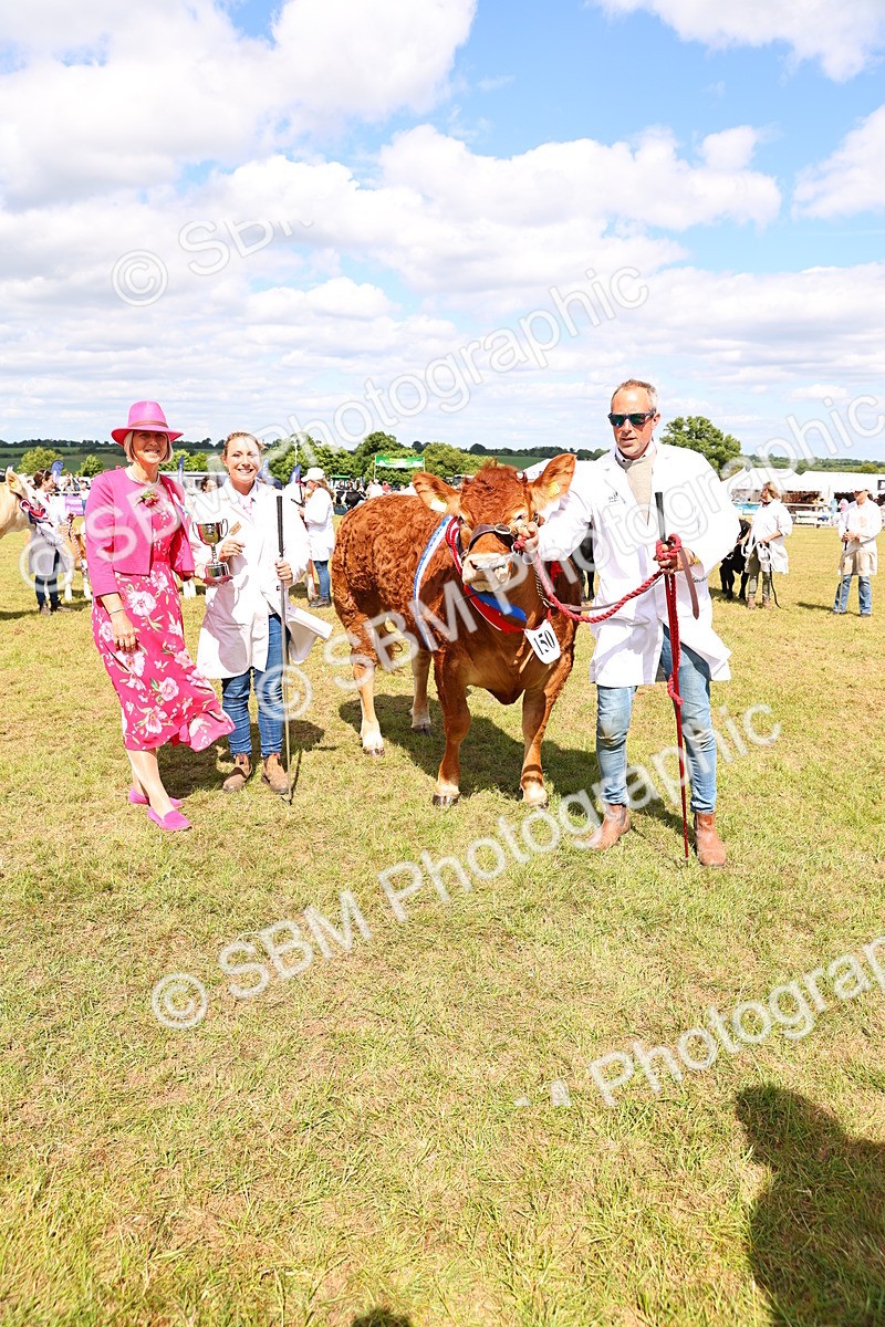 SBM_17025 - Grand Parade
