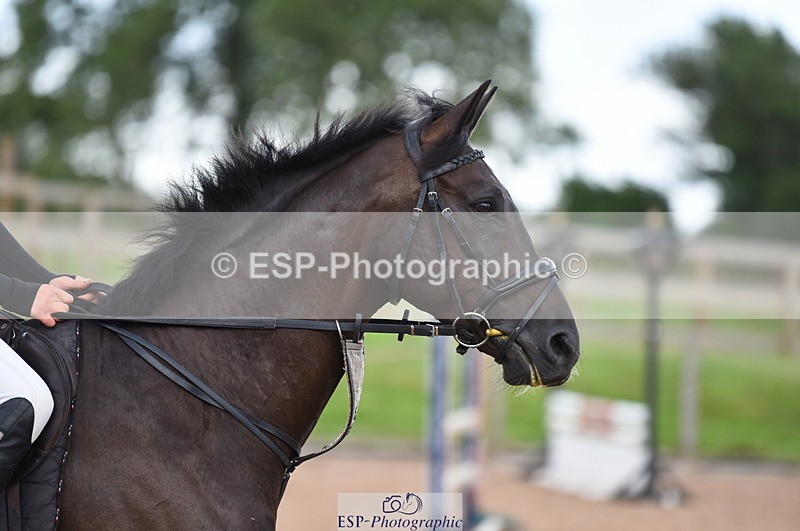 230711A-180428-00378 - 80cm