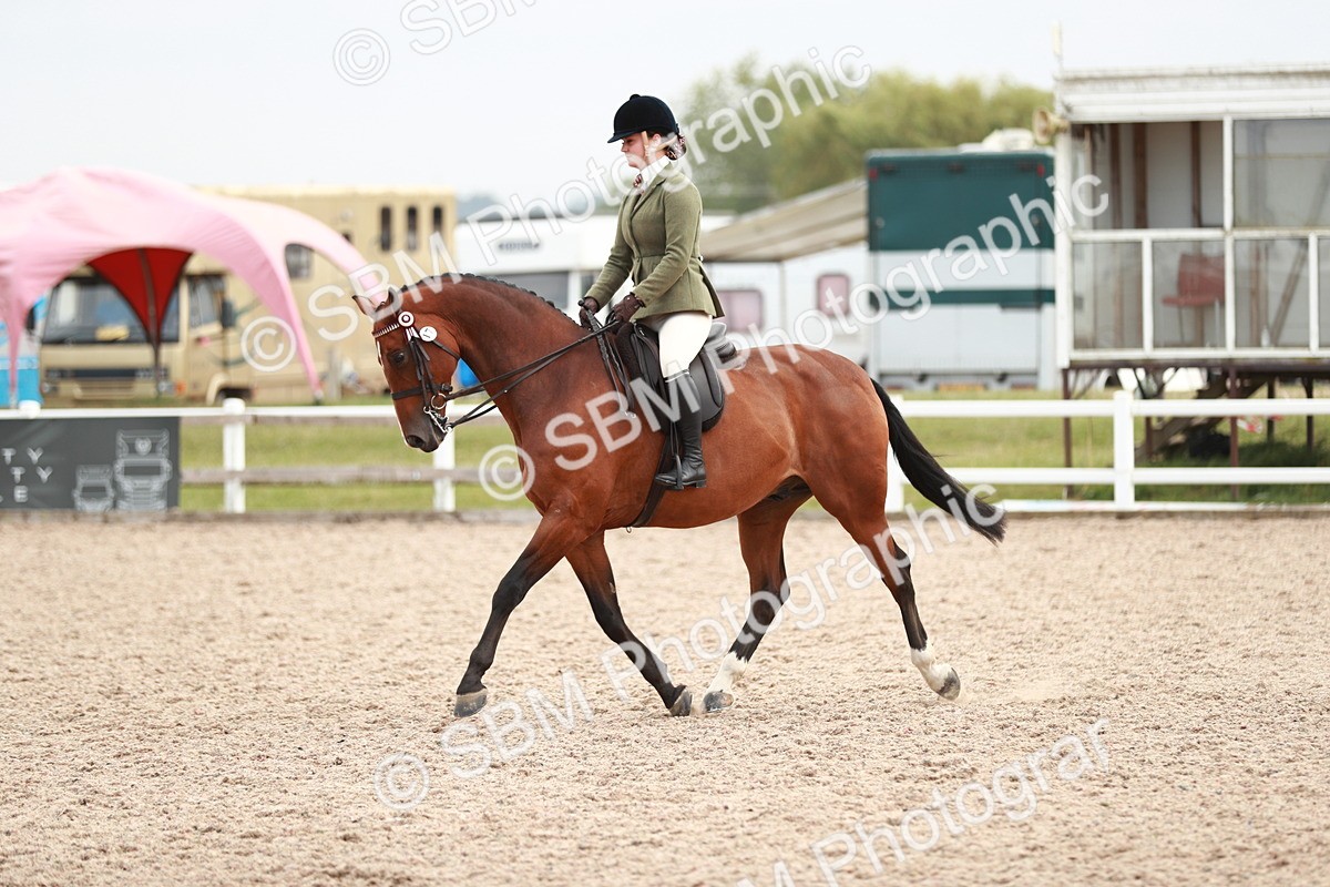 SBM_17611 - Class 215 Ridden Hack/ Riding Horse