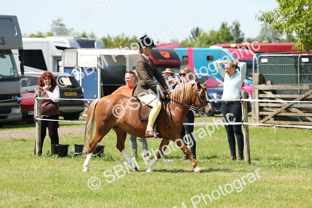 SBM_06727 - Class 26-30 - Mountain and Moorland Ridden